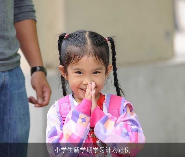 小学生新学期学习计划范例 小学生新学期学习计划范例