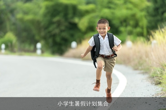 小学生暑假计划集合 小学生暑假计划集合