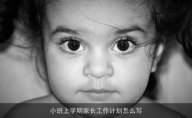 小班上学期家长工作计划怎么写 小班上学期家长工作计划怎么写