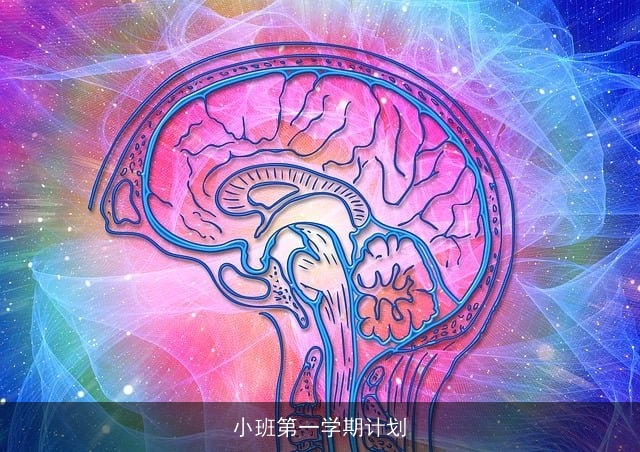 小班第一学期计划 小班第一学期计划
