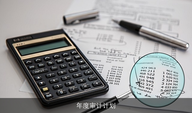 年度审计计划 年度审计计划