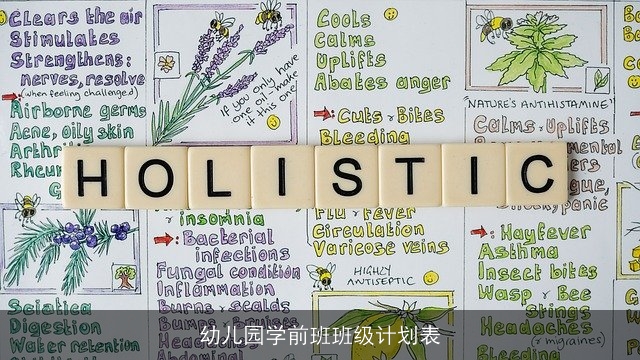 幼儿园学前班班级计划表 幼儿园学前班班级计划表