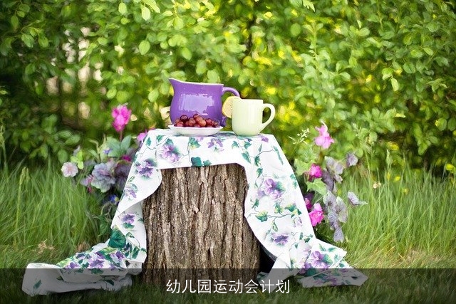 幼儿园运动会计划 幼儿园运动会计划