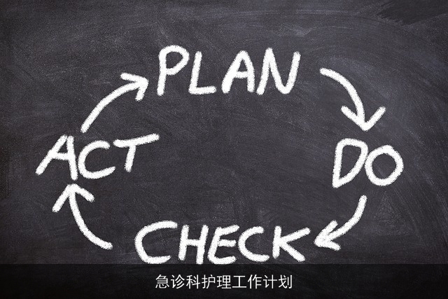 急诊科护理工作计划 急诊科护理工作计划