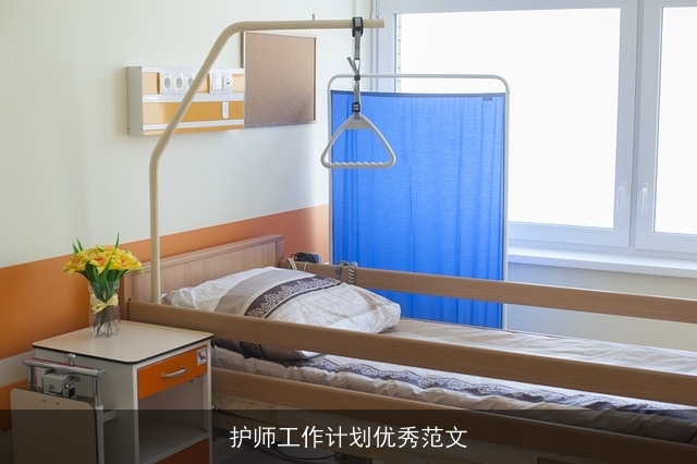 护师工作计划优秀范文 护师工作计划优秀范文
