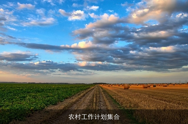 农村工作计划集合 农村工作计划集合