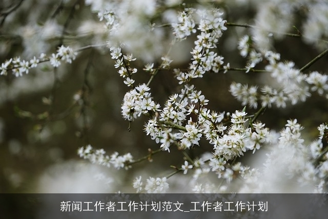 新闻工作者工作计划范文_工作者工作计划 新闻工作者工作计划范文_工作者工作计划