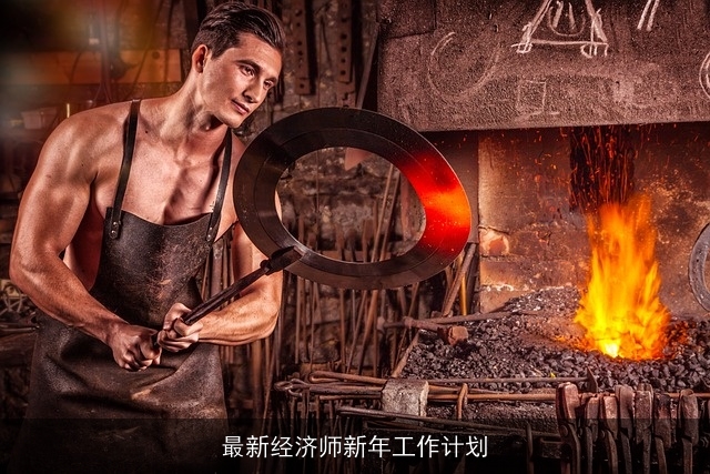 最新经济师新年工作计划 最新经济师新年工作计划