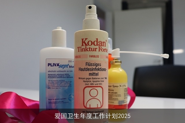 爱国卫生年度工作计划2025 爱国卫生年度工作计划2025