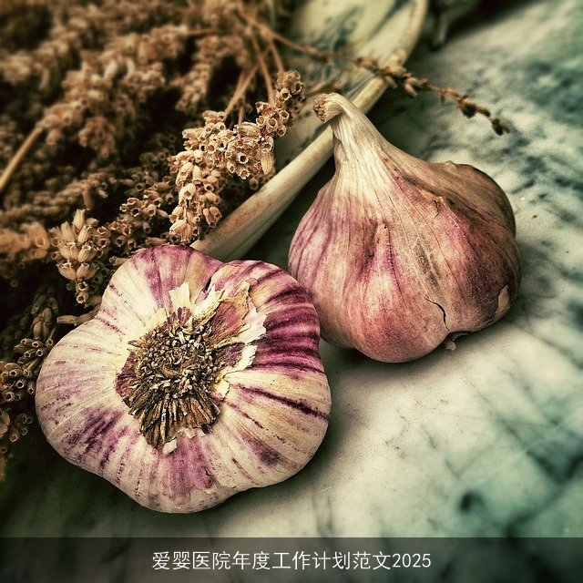 爱婴医院年度工作计划范文2025 爱婴医院年度工作计划范文2025