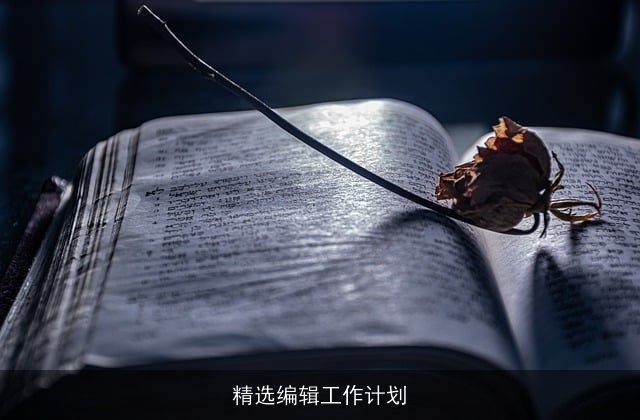 精选编辑工作计划 精选编辑工作计划