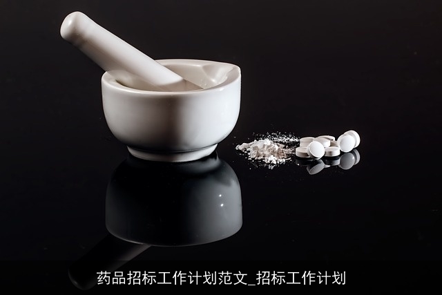 药品招标工作计划范文_招标工作计划 药品招标工作计划范文_招标工作计划