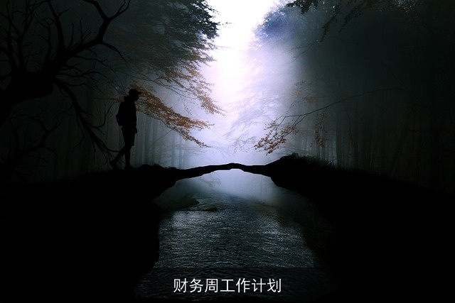 财务周工作计划 财务周工作计划