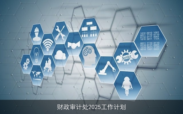财政审计处2025工作计划 财政审计处2025工作计划