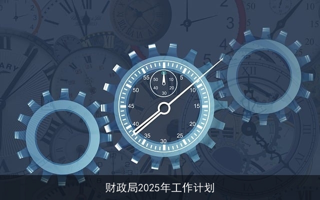 财政局2025年工作计划 财政局2025年工作计划