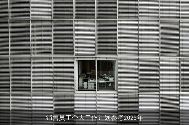 销售员工个人工作计划参考2025年 销售员工个人工作计划参考2025年