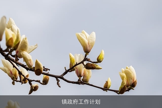 镇政府工作计划 镇政府工作计划