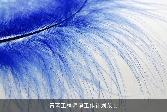 青蓝工程师傅工作计划范文 青蓝工程师傅工作计划范文
