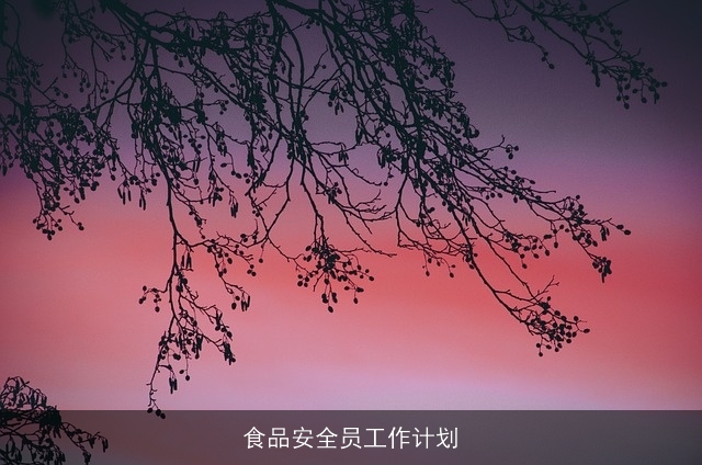 食品安全员工作计划 食品安全员工作计划