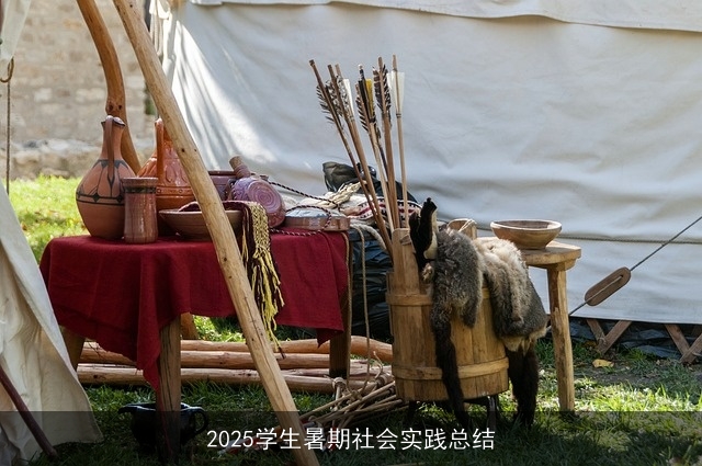 2025学生暑期社会实践总结 2025学生暑期社会实践总结