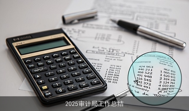 2025审计局工作总结 2025审计局工作总结
