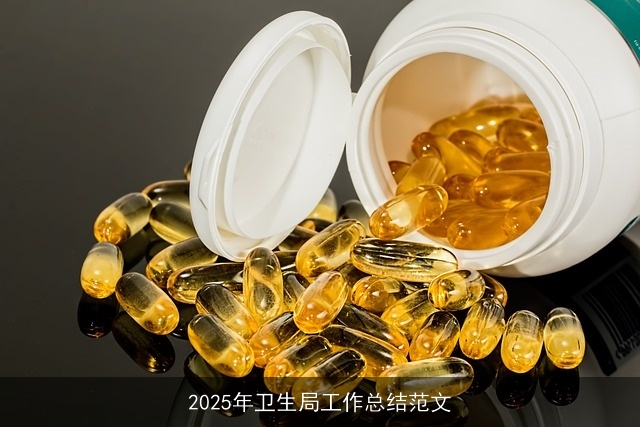2025年卫生局工作总结范文 2025年卫生局工作总结范文