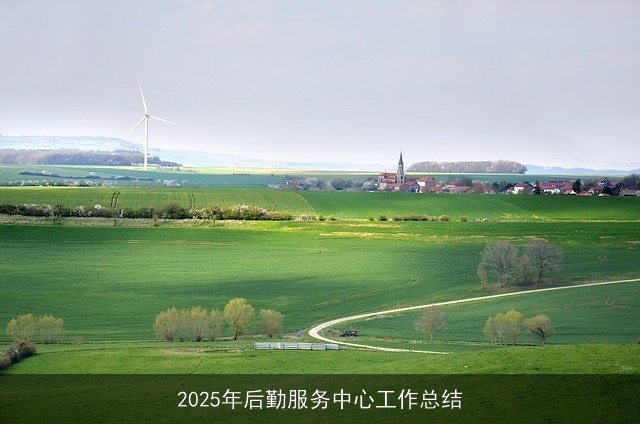 2025年后勤服务中心工作总结 2025年后勤服务中心工作总结