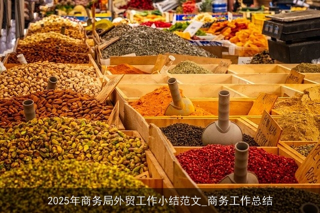 2025年商务局外贸工作小结范文_商务工作总结 2025年商务局外贸工作小结范文_商务工作总结