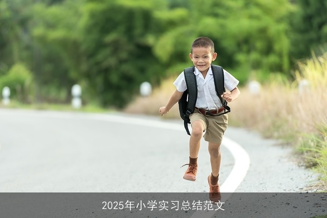 2025年小学实习总结范文 2025年小学实习总结范文