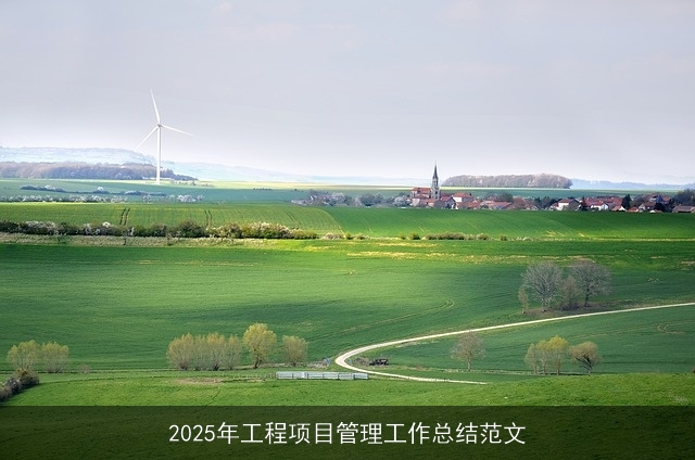 2025年工程项目管理工作总结范文 2025年工程项目管理工作总结范文