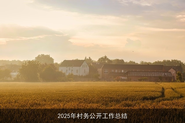 2025年村务公开工作总结 2025年村务公开工作总结