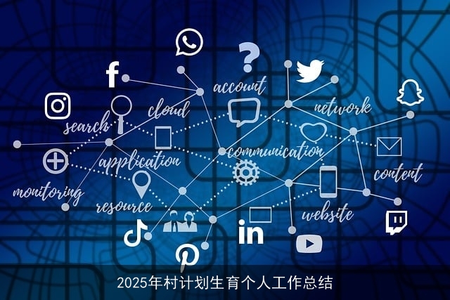 2025年村计划生育个人工作总结 2025年村计划生育个人工作总结
