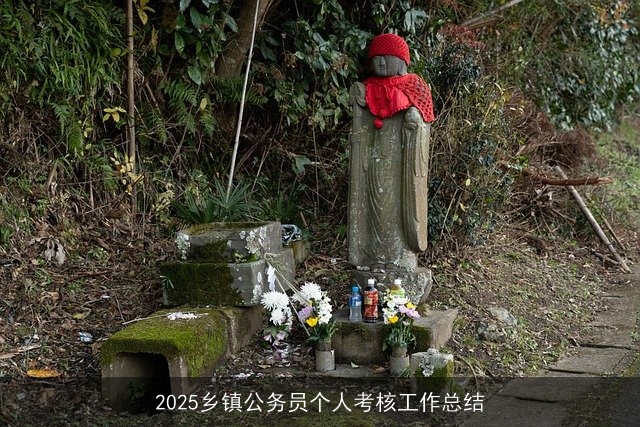 2025乡镇公务员个人考核工作总结 2025乡镇公务员个人考核工作总结