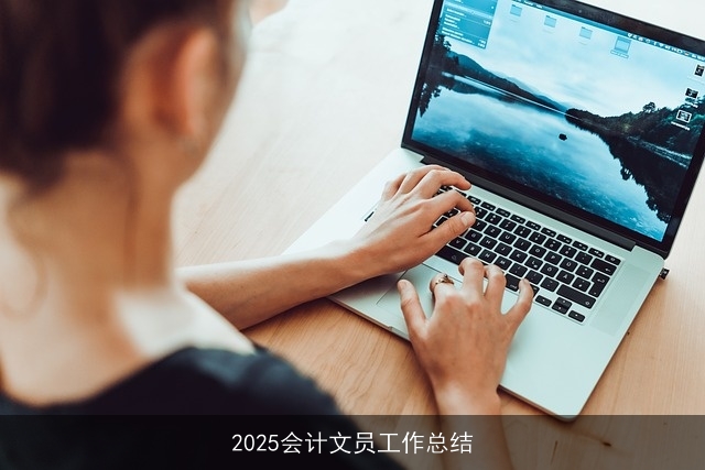 2025会计文员工作总结 2025会计文员工作总结