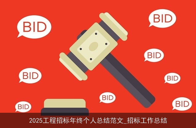 2025工程招标年终个人总结范文_招标工作总结 2025工程招标年终个人总结范文_招标工作总结