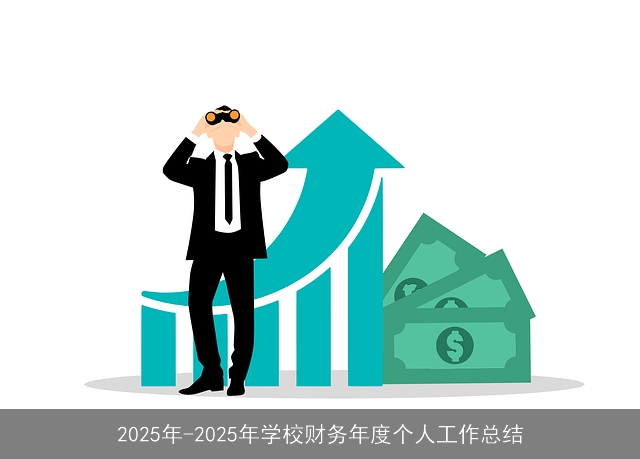 2025年-2025年学校财务年度个人工作总结 2025年-2025年学校财务年度个人工作总结