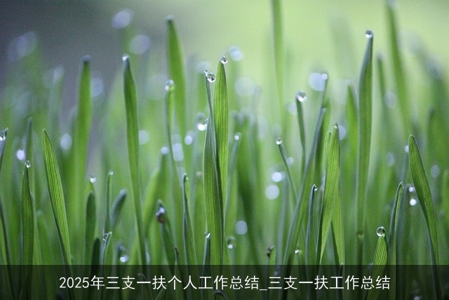 2025年三支一扶个人工作总结_三支一扶工作总结 2025年三支一扶个人工作总结_三支一扶工作总结