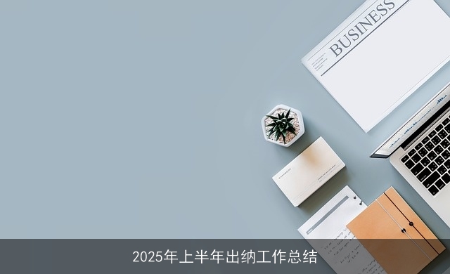 2025年上半年出纳工作总结 2025年上半年出纳工作总结