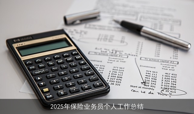 2025年保险业务员个人工作总结 2025年保险业务员个人工作总结