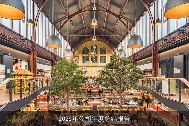 2025年公司年度总结报告 2025年公司年度总结报告