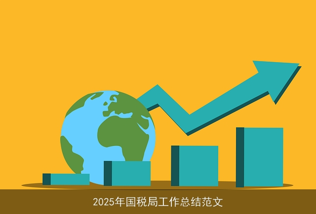 2025年国税局工作总结范文 2025年国税局工作总结范文