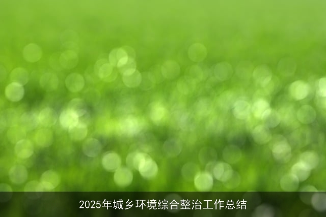 2025年城乡环境综合整治工作总结 2025年城乡环境综合整治工作总结