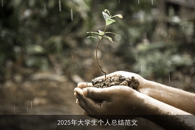 2025年大学生个人总结范文 2025年大学生个人总结范文