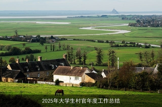 2025年大学生村官年度工作总结 2025年大学生村官年度工作总结