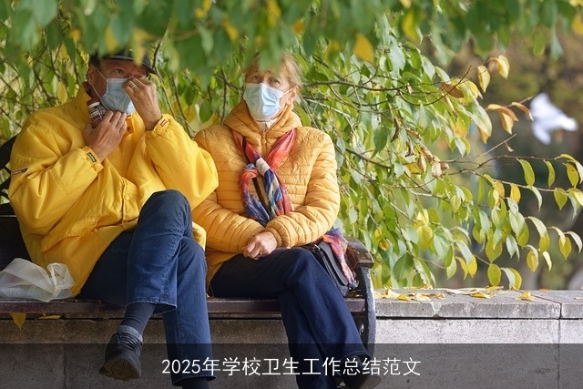 2025年学校卫生工作总结范文 2025年学校卫生工作总结范文