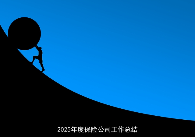 2025年度保险公司工作总结 2025年度保险公司工作总结