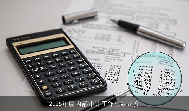 2025年度内部审计工作总结范文 2025年度内部审计工作总结范文