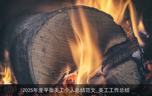 2025年度平面美工个人总结范文_美工工作总结 2025年度平面美工个人总结范文_美工工作总结