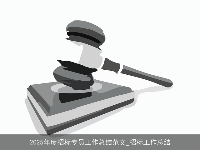 2025年度招标专员工作总结范文_招标工作总结 2025年度招标专员工作总结范文_招标工作总结