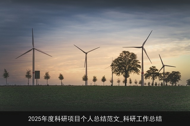 2025年度科研项目个人总结范文_科研工作总结 2025年度科研项目个人总结范文_科研工作总结